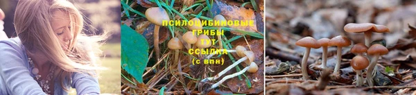 гашиш Балабаново