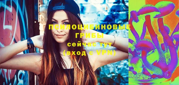 дмт Балахна