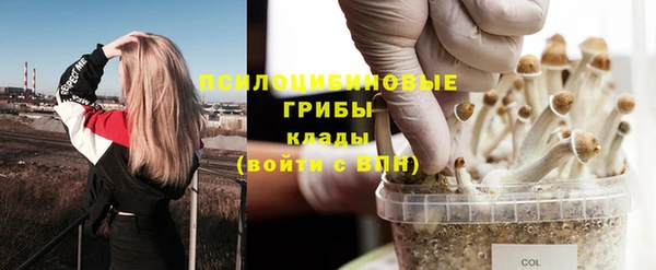 дмт Балахна