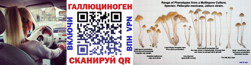 Псилоцибиновые грибы Magic Shrooms  где можно купить   Верхний Тагил 